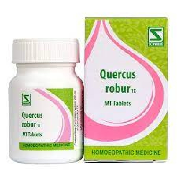 Quercus Robur